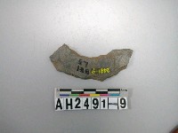 藏品(打製石環)的圖片